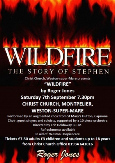 WILDFIRE - The Story of Stephen
